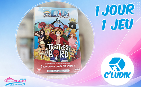1 jour 1 jeu – Traitre à bord One piece